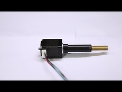 Serie prigioniera del motore passo a passo di Casun