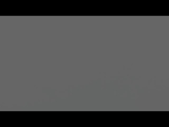 NEMA 17 Motore passo-passo lineare con codificatore: movimento lineare ad alta precisione per automazione avanzata