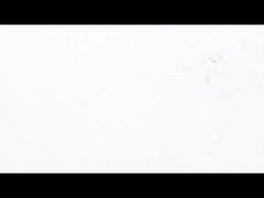 NEMA 23 Motore passo-passo pancake Ultra - sottile - alte prestazioni di coppia