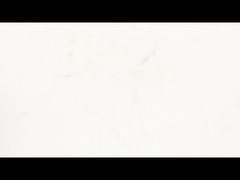 NEMA 8 Encoder per motore a passo lineare a catena - motore ultra-compatto a movimento lineare