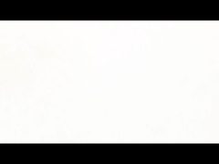 NEMA 8 Soluzione di movimento compatta e flessibile per motori passo-passo non cattivi