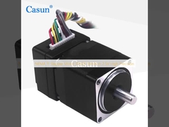 Motore passo-passo NEMA 11 IDH28 50mN.m 2.5V Alta precisione