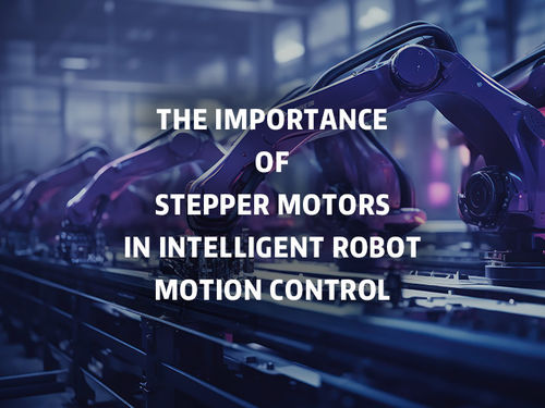 Ultime notizie della società circa L'importanza dei motori passo a passo nel controllo intelligente del movimento dei robot.